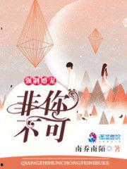 非婚不可,探索现代婚姻观念的边界与挑战