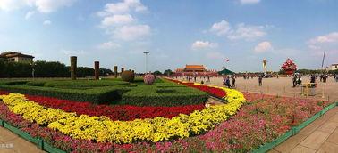 爱在锦簇长街前,感受爱意盎然时光